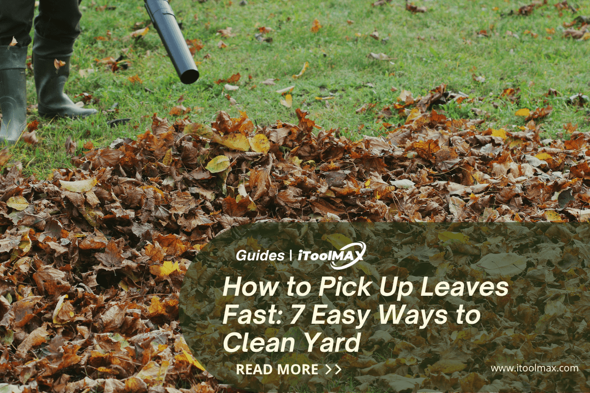 How to Pick Up Leaves Fast: 7 Easy Ways to Clean Yard