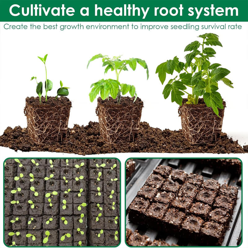 iToolMax Cell Soil Block Maker with 3 Kinds Seed Pins