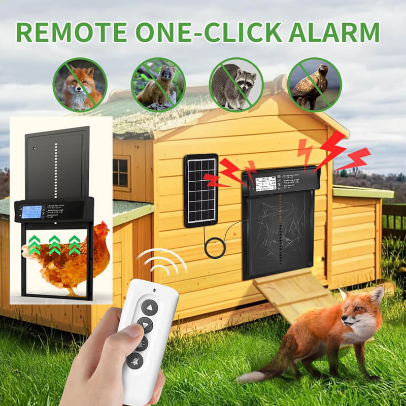 Solar_Chicken_Coop_Door_Security_Peace
