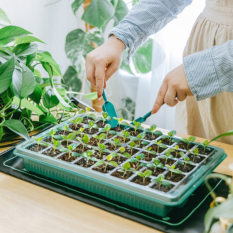 iToolMax All-in-one Seed Starter Kit