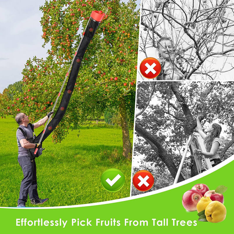 Say goodbye to dangerous climbs to pick fruit! Use iToolMax fruit picker that extends up to 13.12ft/4m, allowing you to grip the fruit on trees nearly 20 ft/6m. Make your backyard harvest just got a whole lot easier! Perfect for both home gardeners and professional fruit growers.