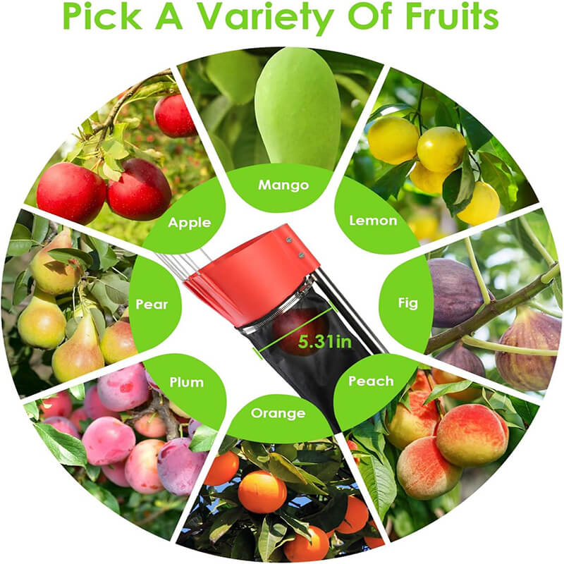 Can pick fruits with a diameter of less than 5.31inches, including apples, oranges, persimmons, avocados, lemons, mangoes, limes, papayas, kiwis, dates, pears, nectarines, grapefruits, plums, cherries, apricots, peaches, tangerines, and pomegranates etc.