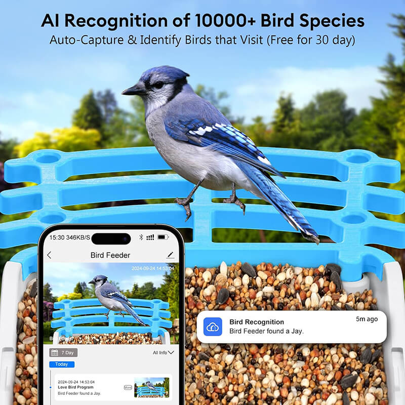 Completely new smart birdfeeder equipped with a 5MP HD camera, AI technology to identify 11000+ species of birds (30-day trial, $3.99 monthly), no need to telescope, receive real-time notifications via your app to watch, and automatic video recording and storage. It is a great tool for birdwatchers and bird lovers, making birdwatching easier and more fun.