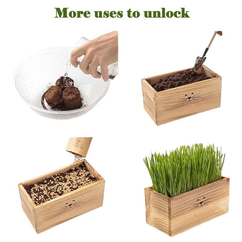 itoolmax 6 in 1 bonsai kit for beginners more