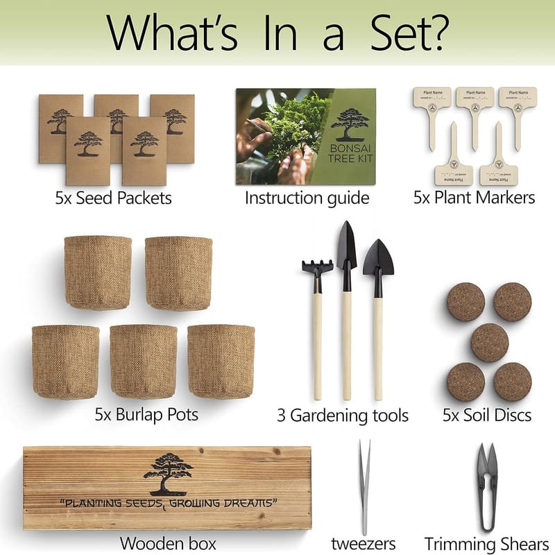 itoolmax 6 in 1 bonsai kit for beginners parcel