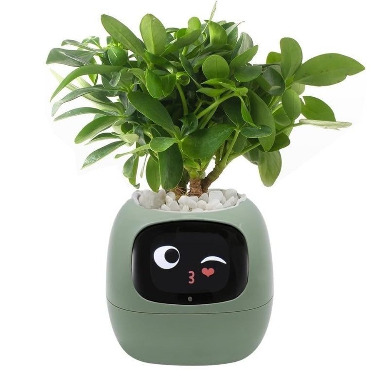 itoolmax smart plant pot with app remote control main picture