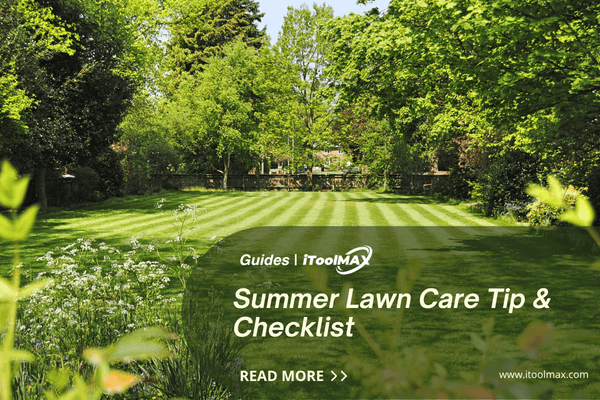 Summer Lawn Care Checklist: 5 Essential Tips Keep Your Lawn Green ...