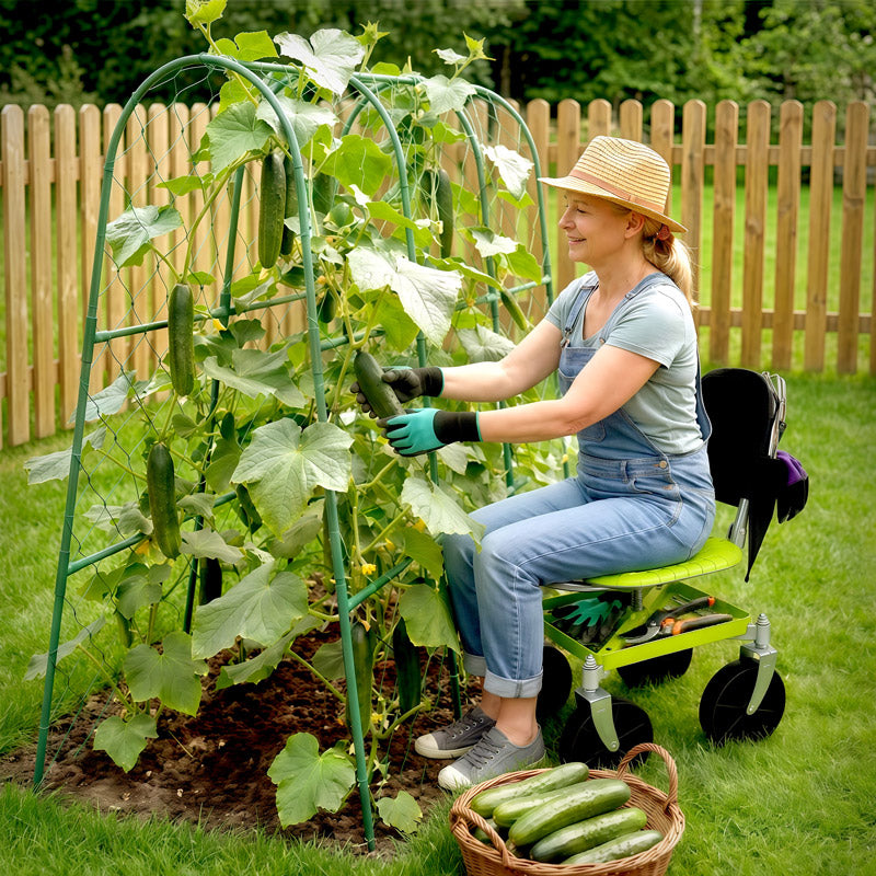 Gardening & Lawn Care Tools