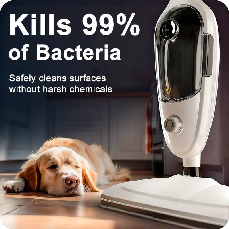 1300w steam mop handheld cleaner kills bacteria itoolmax