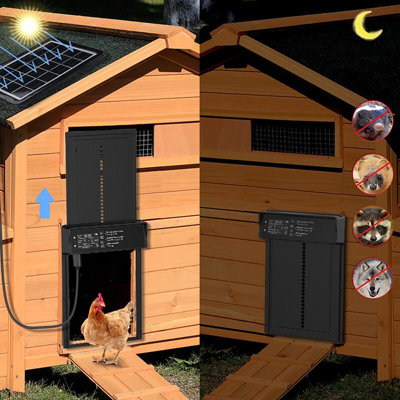 Solar Chicken Coop Door