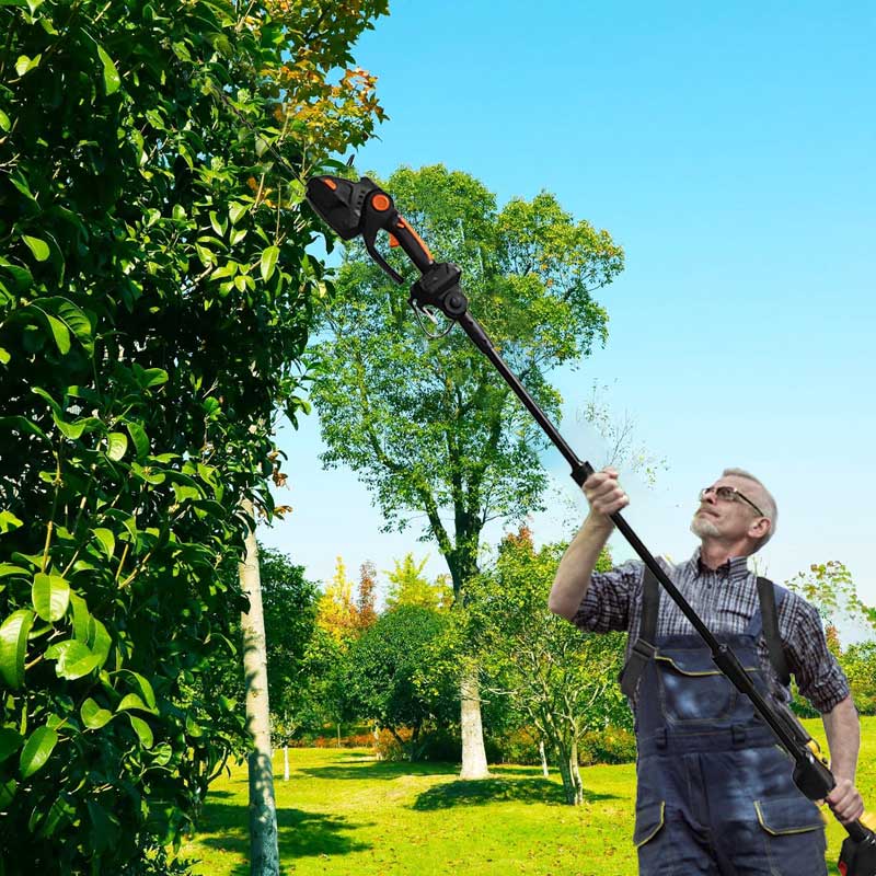 iToolMax 4 in 1 Hedge Trimmer with Extension Pole