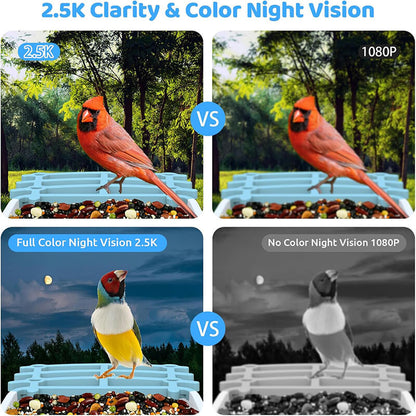 iToolMax Solar Smart Bird Feeder with Camera