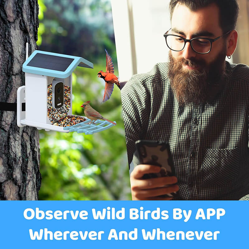 iToolMax Solar Smart Bird Feeder with Camera
