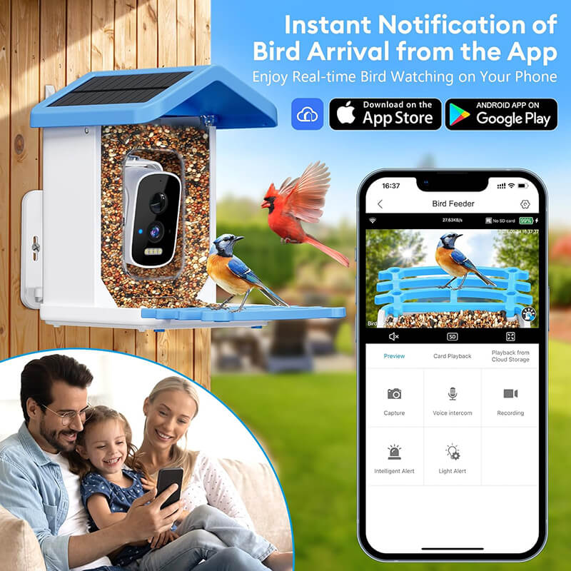 iToolMax Solar Smart Bird Feeder with Camera