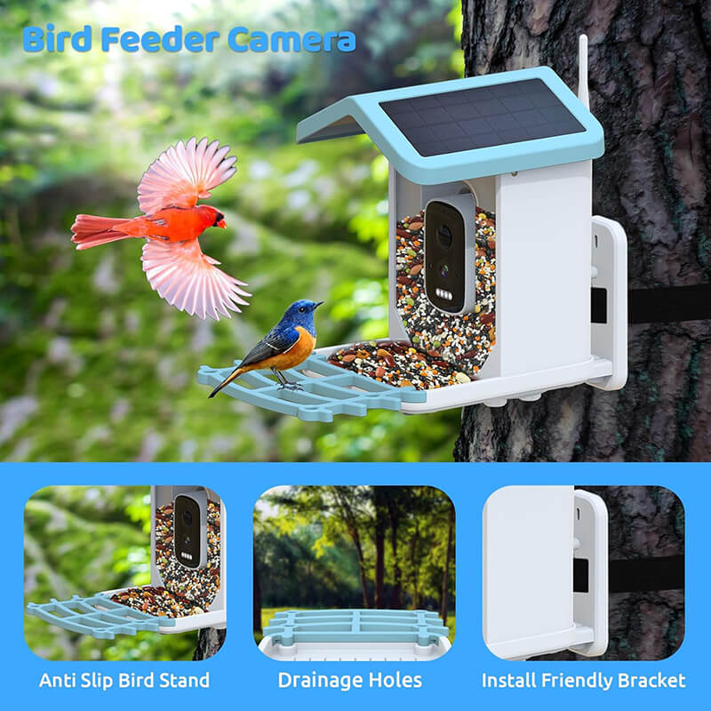 iToolMax Solar Smart Bird Feeder with Camera
