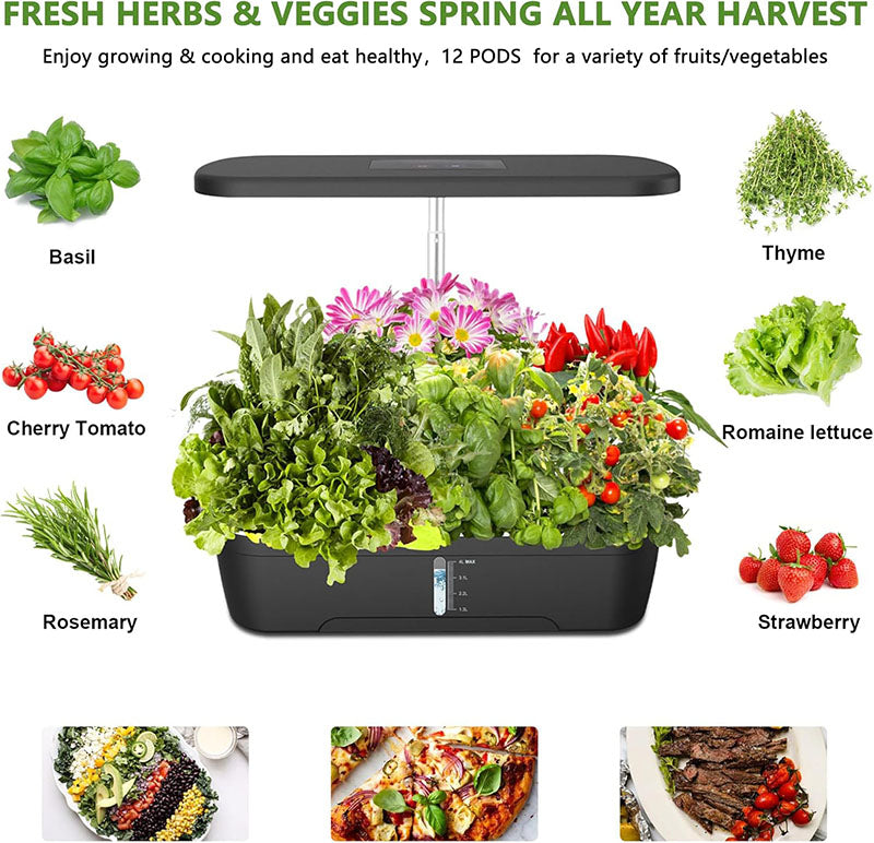 You can grow a variety of vegetables, spices, fruits or flowers, including basil, tomatoes, peppers, lettuce, oregano, parsley, cilantro, tarragon, spinach, succulents and so on. Perfect for kitchens, apartments or any indoor space with limited sunlight.