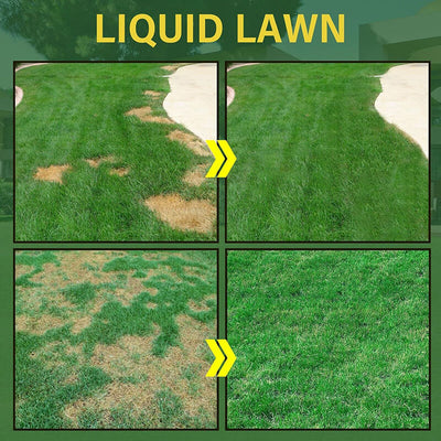 Traditional seeding is time-consuming, but Liquid Seeding Grass Lawn Green Spray System simplifies it by combining seed in an easy-to-spray mix, making lawn care easier and faster. It increases soil water absorption by 40%, retaining moisture longer, while improving soil quality and reducing soil erosion, aiding grass seed growth for fast getting more lush lawn.