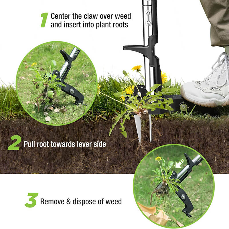 Simply place the tool over the weed, step down on the foot pedal, and twist— the claws grab hold, and with a quick pull, the weed is out, roots and all, then release the grass. It's that easy! Perfect for keeping your garden neat with minimal effort.