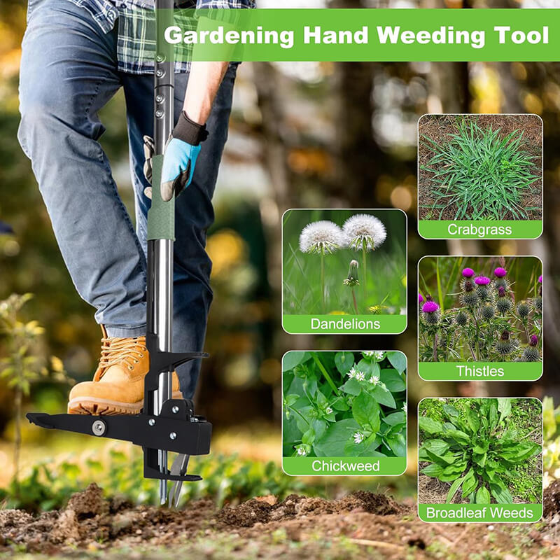 Perfect for eliminating various weeds and their roots, such as thistles, crabgrass, dandelions, blackberries, etc. Suitable for all soil types, especially after heavy rain or watering.