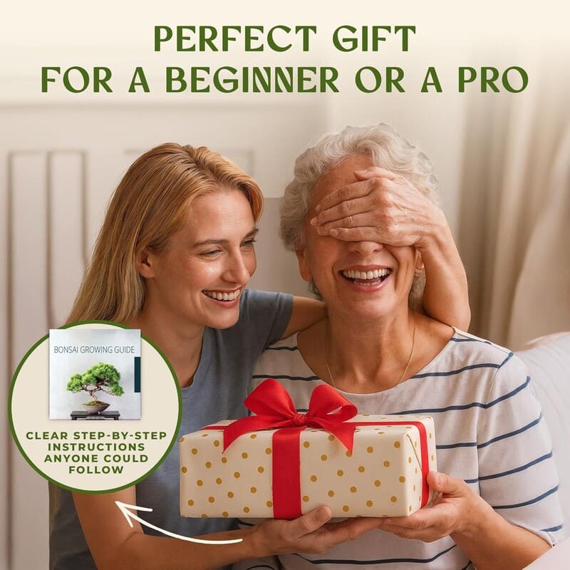 itoolmax 6 in 1 bonsai kit for beginners adults