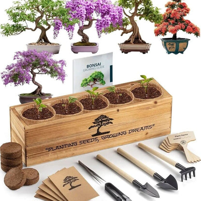 itoolmax 6 in 1 bonsai kit for beginners first