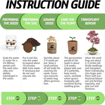 itoolmax 6 in 1 bonsai kit for beginners guide