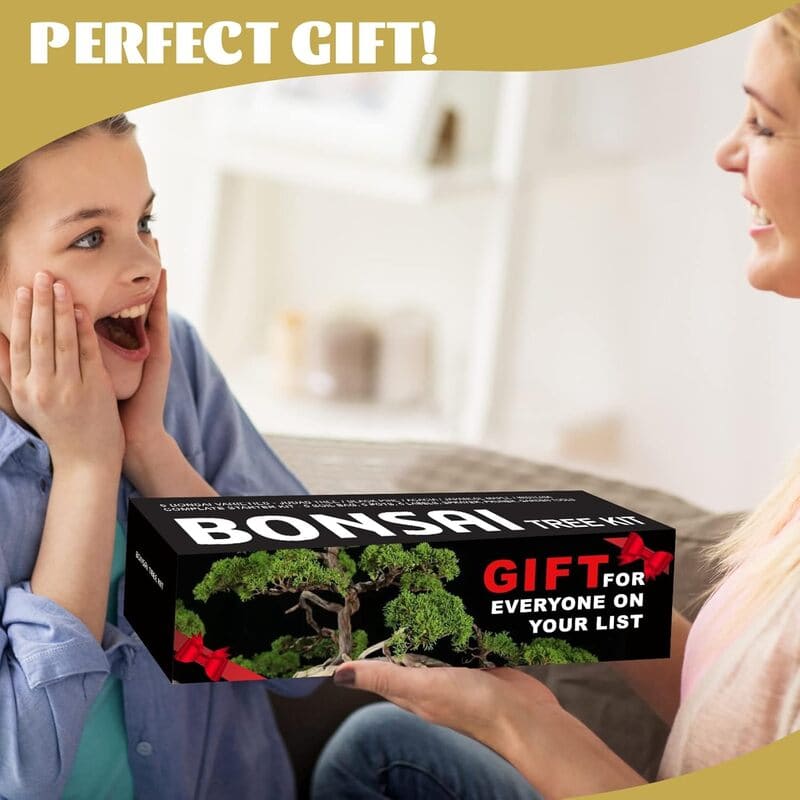 itoolmax 6 in 1 bonsai kit for beginners kids