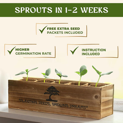 itoolmax 6 in 1 bonsai kit for beginners sprout