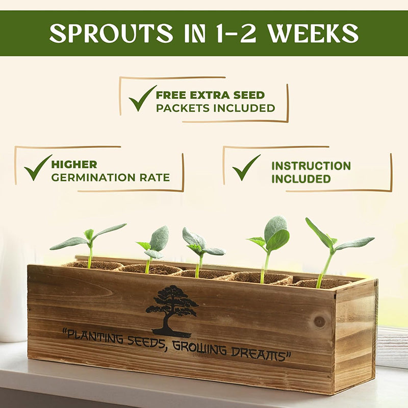 itoolmax 6 in 1 bonsai kit for beginners sprout