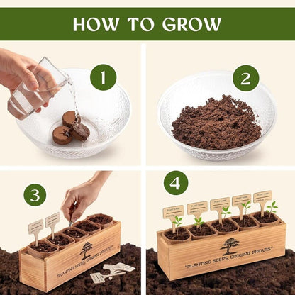 itoolmax 6 in 1 bonsai kit for beginners steps