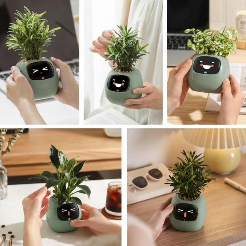 itoolmax smart plant pot with app remote control bring sunshine