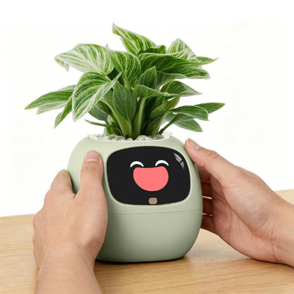 itoolmax smart plant pot with app remote control in desk