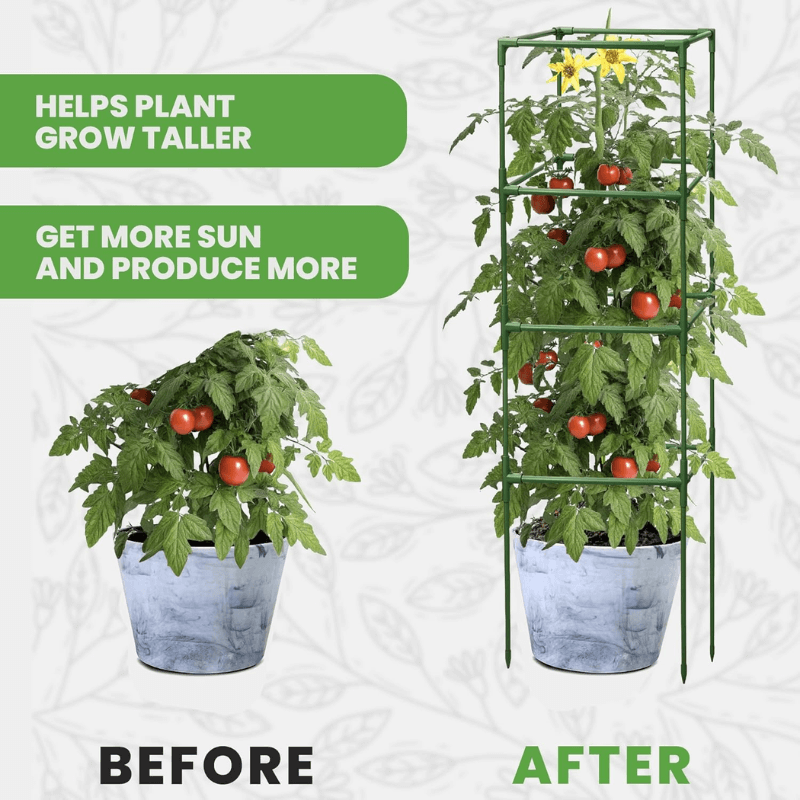 itoolmax square tomato plant cage before and after