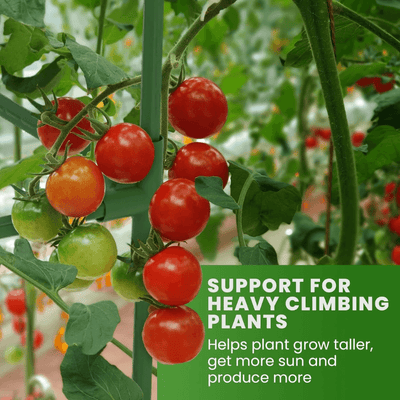 itoolmax square tomato plant cage for climbing plants