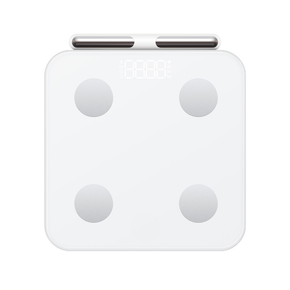 smart body fat and weight scale itoolmax
